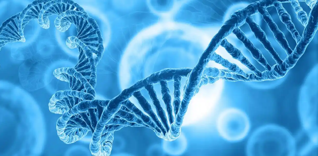 干細(xì)胞技術(shù)實(shí)驗(yàn)室