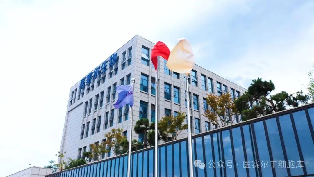 1754813062832586.jpg 1754813062832586.jpg